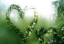 雨燕直播app怎么下载？安全下载及使用指南全解析