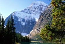 2021年巴甲赛程比分结果都有哪些亮点？