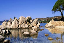 曼联转会最新目标都有谁？球队引援策略藏着哪些门道？